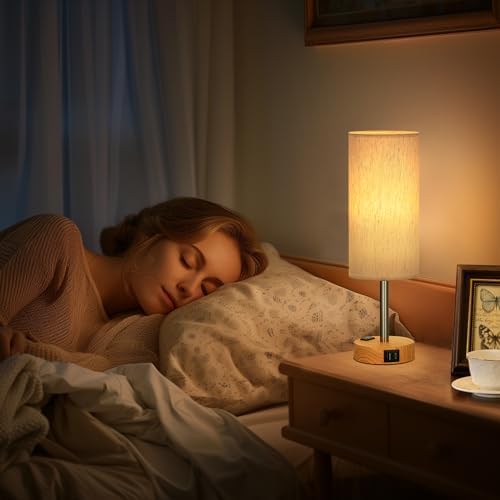 Fenmzee Bedside Table Lamp Set of 2 - Dimmable Touch, USB A+C, AC Outlet