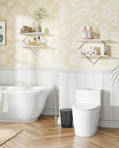 CHOEZON Floating Shelves, Set of 2 Wall Shelves, 2-Tier Hanging Shelves, Wall Shelf Set of 2, for Living Room, Bedroom