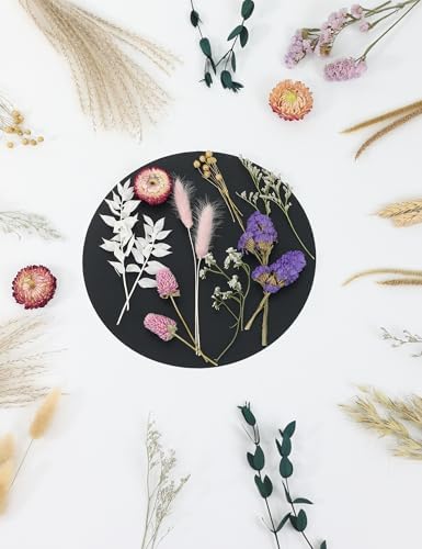 DIY Dried Flower Set, Dried Flowers for Vases, Bulk Dried Flowers, Bouquet Arrangements, Daisies. (Pink)