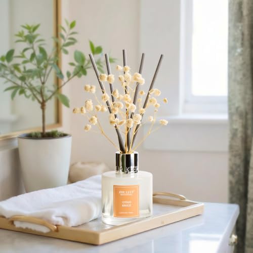 Airkeep Reed Diffuser Set,3.38 fl oz (100 ml) - Citrus Breeze Oil Diffusers with 8 Reed Sticks, Home Fragrance Reed