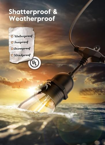 Brightown 82FT Outdoor String Lights - 25 LED Bulbs Patio Lights with Remote, Timer, Dimmable, Waterproof Connectable