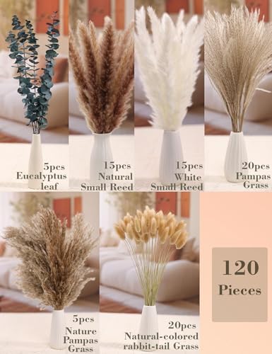 Dried Flowers / Light Brown / Set of 120