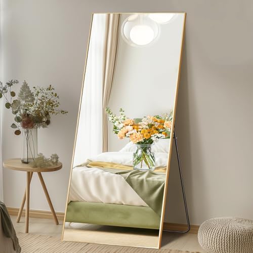DUMOS 24"x65" Full Length Mirror with Stand, Full Body Floor Mirror