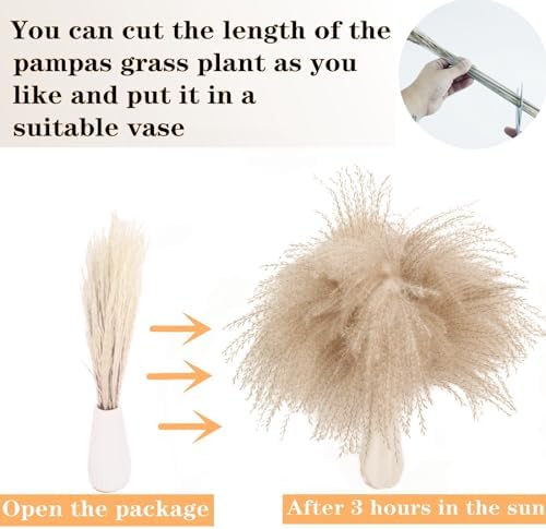 Dried Pampas Grass Decor, 128PCS Pampas Grass with Bunny Tails Dried Flowers, Reed Grass Bouquet for Wedding, Boho