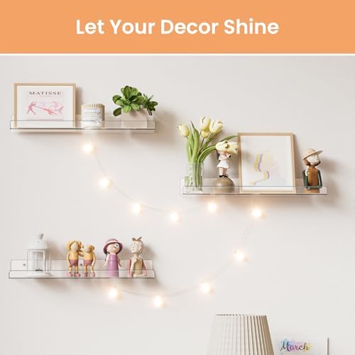 upsimples 4 Pcs 15" Acrylic Shelves for Wall Storage and Organizer, Clear