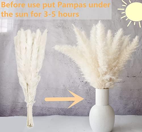 Bunny Tails Dried Flowers / Pampas Grass / Brown / Set of 110