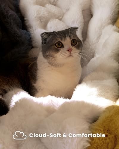 Ultra Soft Cozy Faux Fur Throw Blanket, Fuzzy Plush Thick Bubble Blanket, Luxury Fluffy Blanket for Couch, Sofa