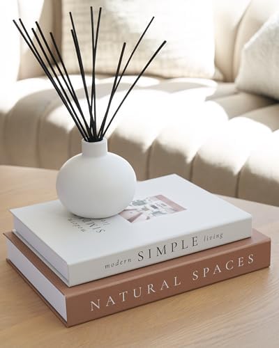 Decorative Books / Boxes Coffee Table / Set of 2