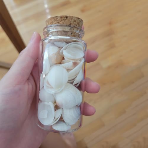 4 pcs 120ml Small Glass Bottles with Cork Stopper,Graduation Gifts,Decorative Bottle,Vials Jars,Cute Storage Jar,Wishing Bottle 47x90mm(1.85x3.55inch)