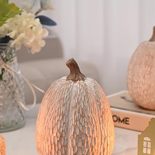 AOMOONOA Artificial Pumpkin Decor, Brown and White Decorative Pumpkins