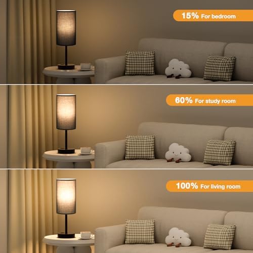 Fenmzee 17.4" Black Lamp for Bedroom - Dimmable Touch, USB A+C, AC Outlet