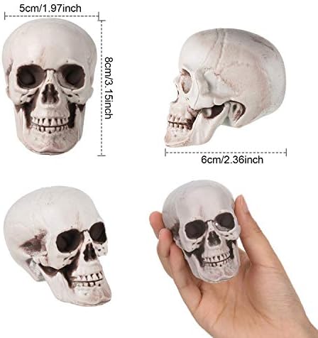 Boao 8 Pcs Halloween Skull Heads, 2.4 x 3.1 in Skeleton Skulls for Decor