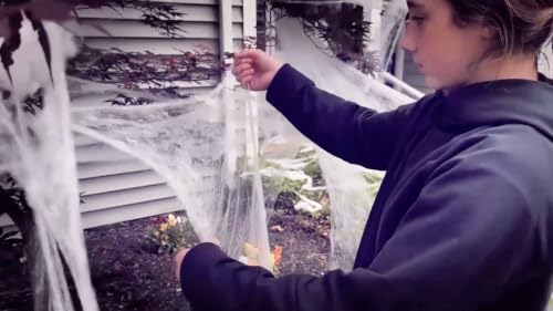 3,000 Sq. Ft Coverage, Indoor & Outdoor Use, Creepy Spiders Included, Garden Decor (10 Packs of 300 Square Feet)