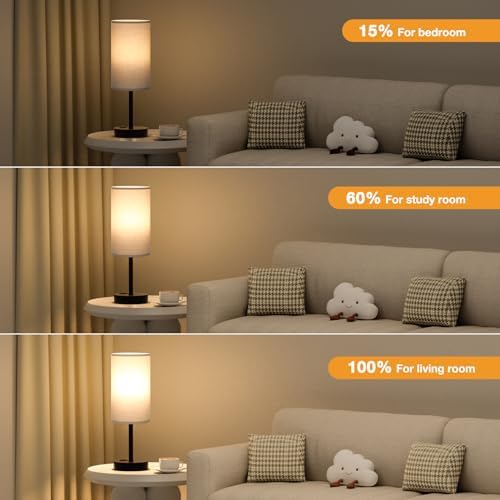 Fenmzee 17.4" Grey Lamp for Bedroom - Dimmable Touch, USB A+C, AC Outlet
