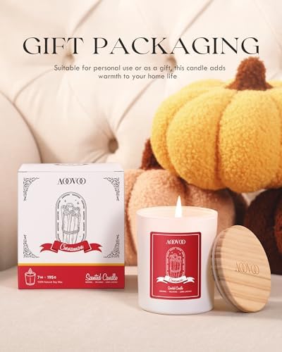 AOOVOO Cinnamon Scented Candles for Women - Aromatherapy Candle with Crystals Inside, 7oz Soy Candles for Home Scented