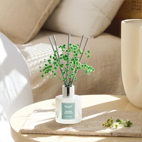 Airkeep Reed Diffuser Set,3.38 fl oz (100 ml) - Wild Mint&Eucalyptus Oil Diffusers with 8 Reed Sticks, Home Fragrance