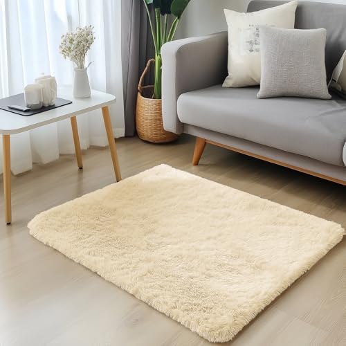OLANLY 2x3 Machine Washable Small Bedside Rug, Soft Fluffy Shaggy Entryway Throw Rugs for Bedroom, Living Room, Indoor