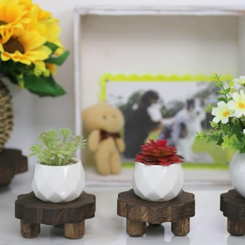 Small Wooden Stands / Dark Brown / 4 Inch / Set of 3