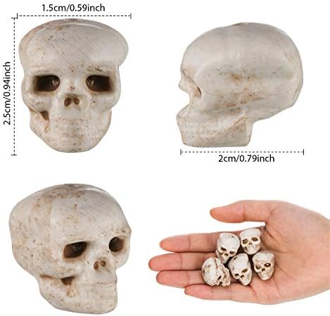 Boao 8 Pcs Halloween Mini Skull Heads, 1 in Skeleton Skulls for Decor