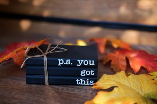 Cute Office Desk Decor, Inspirational Wooden Mini Faux Books for Decoration, Gifts for Women Kids - P.S. You Got This Sign, Black
