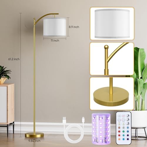 Battery Operated Floor Lamp, RGB Dimmable Cordless Standing Lamp with Remote Control for Living Room, Tall Floor Lamp