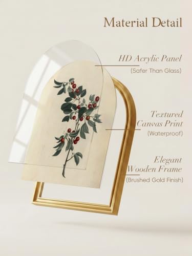 TwoDays Vintage Christmas Berries 11" x 13.8" Gold Arched Framed Wall Art