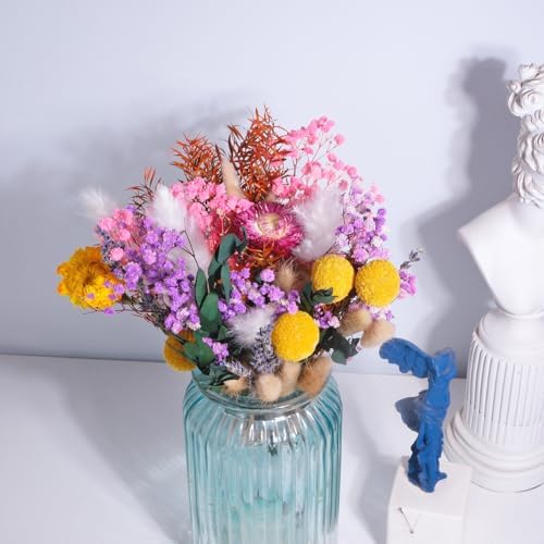 10 Kinds Natural Dried Flower Set, Bulk Dried Flowers for Vase,Mini Dried Flower Bouquets,Dried Flowers with Stems for DIY Crafts, Vase Decor,Home/Wedding/Birthday Decor(7.9-9.84in Flexible Stems)