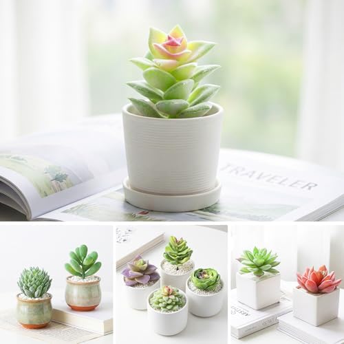 Artificial Succulents Mini Fake Plants Unpotted Faux Succulent for Craft / Set of 12
