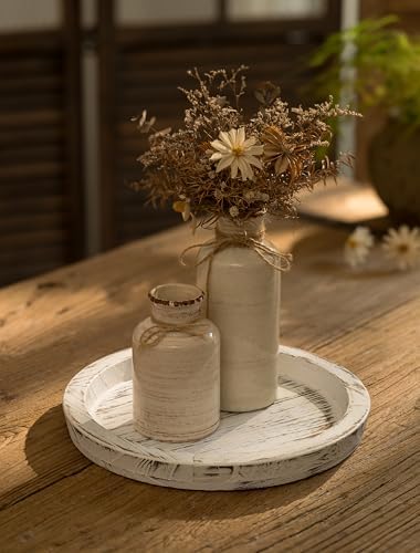 Hanobe Round Wood Candle Holder Trays for Coffee Table, Rustic White Finish