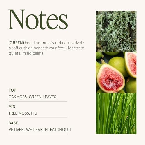 LA JOLIE MUSE Kyoto Vine Moss Scented Candle for Home, Natural Soy, 40 Hrs