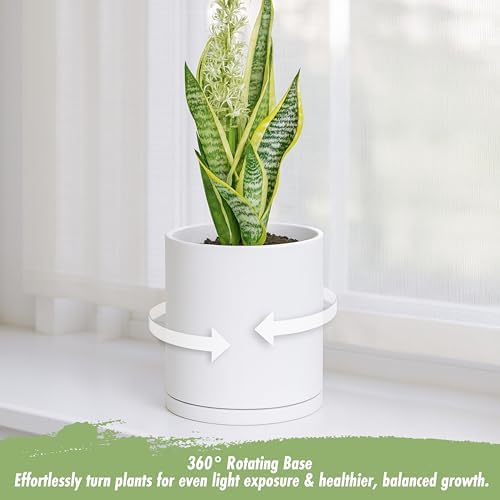 D'vine Dev Double-Layer Self-Draining Planter Set – Rotating Plastic Outer Pot with Clear Inner Liner for Root Health, Perfect for Indoor Plants, 6.5", Set of 2, White, 73-V-A-2
