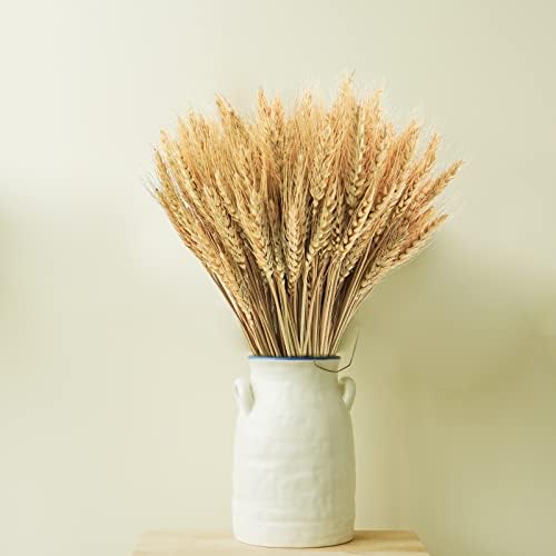 18 inches Natural Dried Wheat Stalks, 400 Stems Wheat Dried Flowers for Vase Home Kitchen Office Spring Flowers Arrangement Wedding Crowns Wreath Table Centerpiece Farmhouse Boho Party Décor