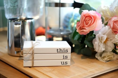 Mini Decorative Books for Tiered Tray Decor - Faux Wooden Books for Coffee Table Decoration - Farmhouse Shelf Decor - This is Us Sign