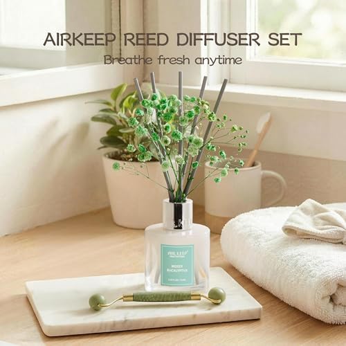 Airkeep Reed Diffuser Set,3.38 fl oz (100 ml) - Moss Eucalyptus Oil Diffusers with 8 Reed Sticks, Home Fragrance Reed