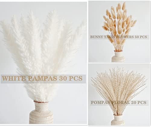 Natural Dried Pampas Grass Decor, White Pampas Grass， Bunny Tails Dried Flowers, Reed Grass Bouquet for Wedding Boho