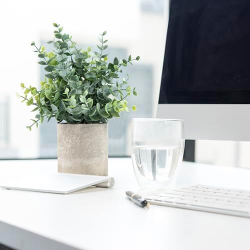 Small Fake Plants Eucalyptus Potted Artificial Plants / Sage Green-small / Set of 2
