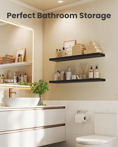 Amada 23.6" Floating Shelves for Wall Decor & Storage, Set of 3, Black