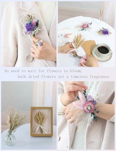 DIY Dried Flower Set, Dried Flowers for Vases, Bulk Dried Flowers, Bouquet Arrangements, Daisies. (Pink)