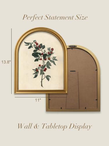 TwoDays Vintage Christmas Berries 11" x 13.8" Gold Arched Framed Wall Art