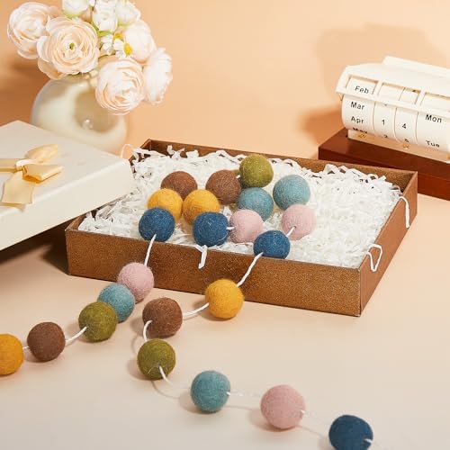 WILLBOND 2 Pieces Felt Pom Ball Garland,Multicolor