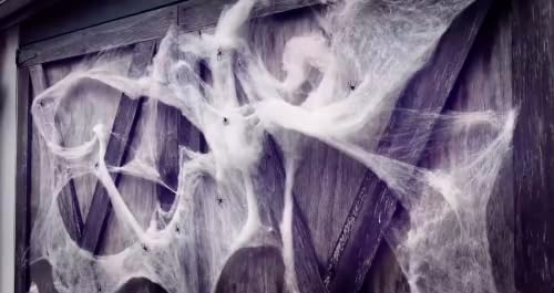 3,000 Sq. Ft Coverage, Indoor & Outdoor Use, Creepy Spiders Included, Garden Decor (10 Packs of 300 Square Feet)