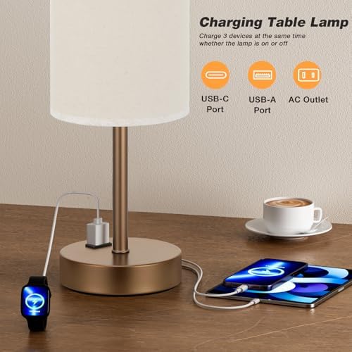 Fenmzee 17.4" Brown Lamp for Bedroom - Dimmable Touch, USB A+C, AC Outlet