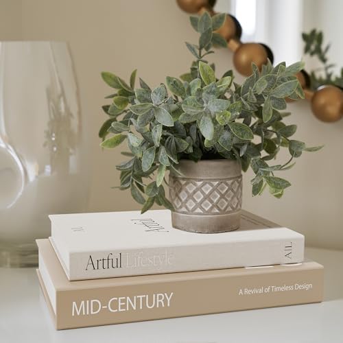 Aesthetic Decorative Books / Brown-beige / Set of 2