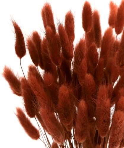120pcs Bunny Tails Dried Flowers Pampas Grass Bouquet, Caramel