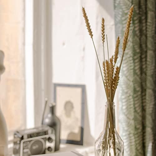 100 Stems Dried Wheat Stalks Natural Wheat Bundle for Home Decor, Crafts