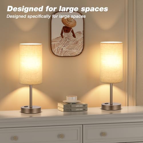 Fenmzee 17.4" Brown Lamp for Bedroom - Dimmable Touch, USB A+C, AC Outlet
