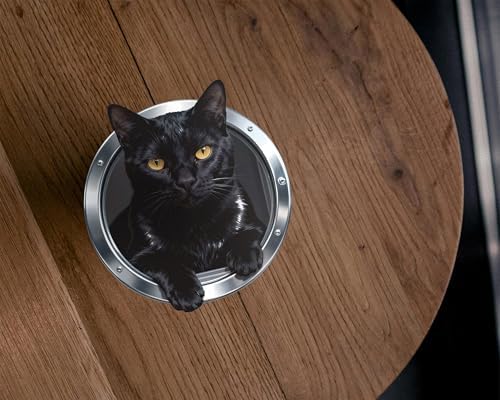 FLFK Cute Cat Wall Decor Decal - Removable Peel and Stick Wall Sticker with 3D Effect, Black Cat Lying Prone