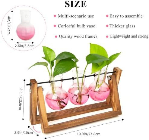 XXXFLOWER Plant Terrarium Kit with Wooden Stand 3 Gradient Pink Bulb Vases