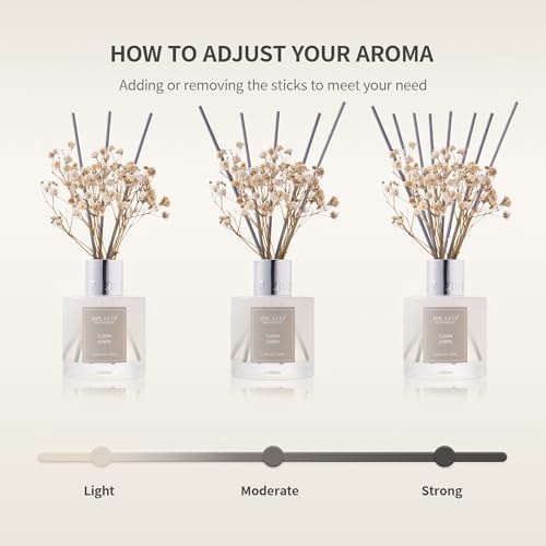 Airkeep Reed Diffuser Set,3.38 fl oz (100 ml) - Lemon Eucalyptus Oil Diffusers with 8 Reed Sticks, Home Fragrance Reed