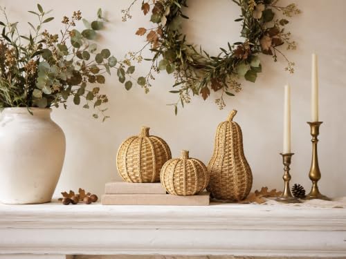 Fall Pumpkin Decorations, 3pcs Fall Decorations for Home
